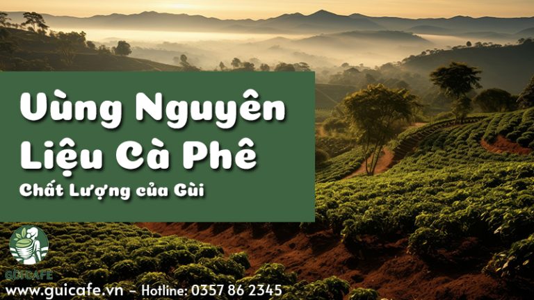 Vùng nguyên liệu cà phê
